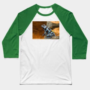 ola blue frog garden Baseball T-Shirt